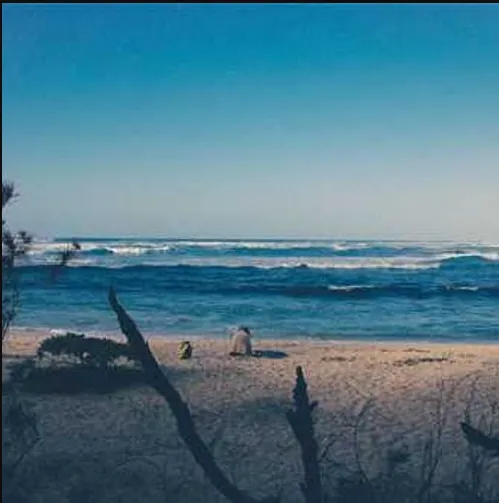 captura de ecrã 2025 10 08 114829